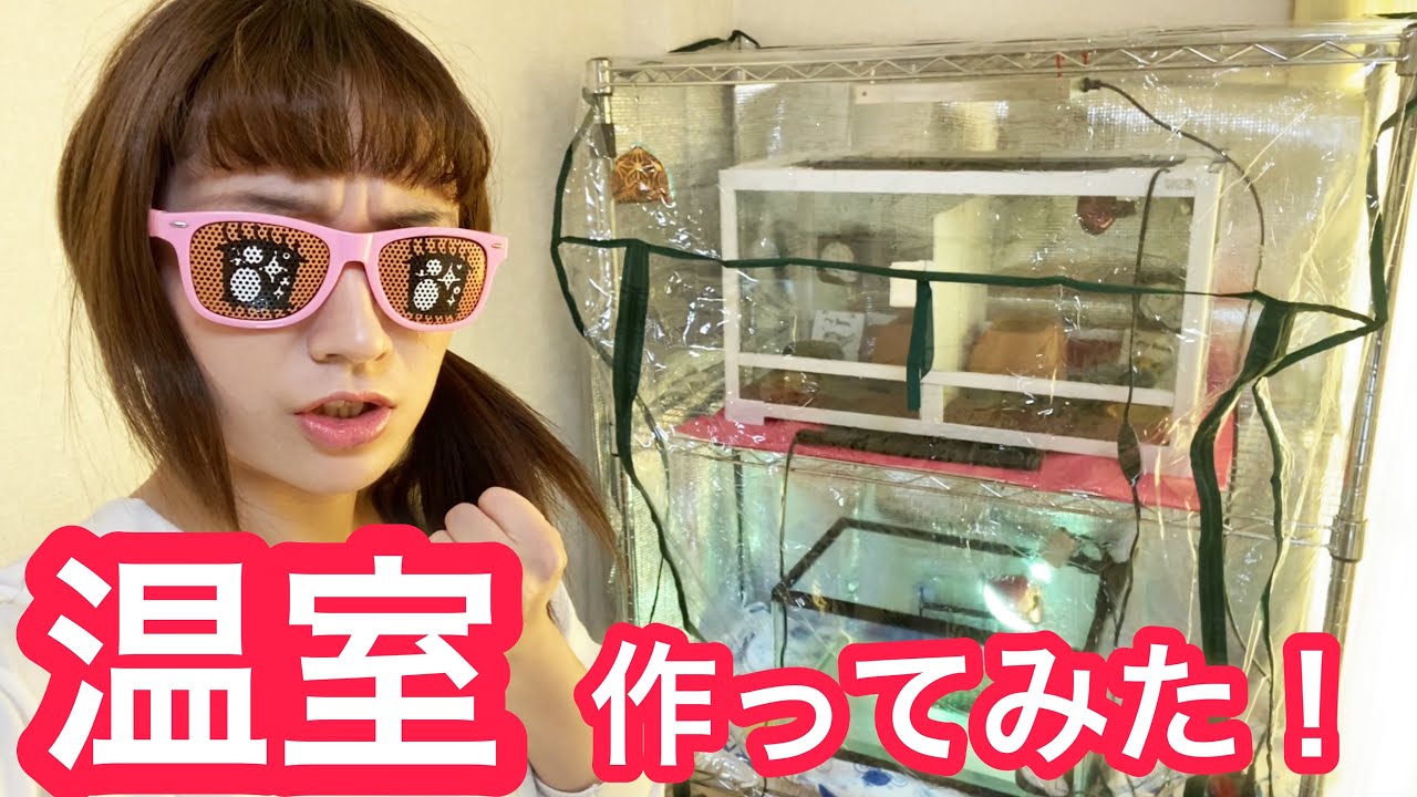 コスパ最強の自作温室を作ってみた！