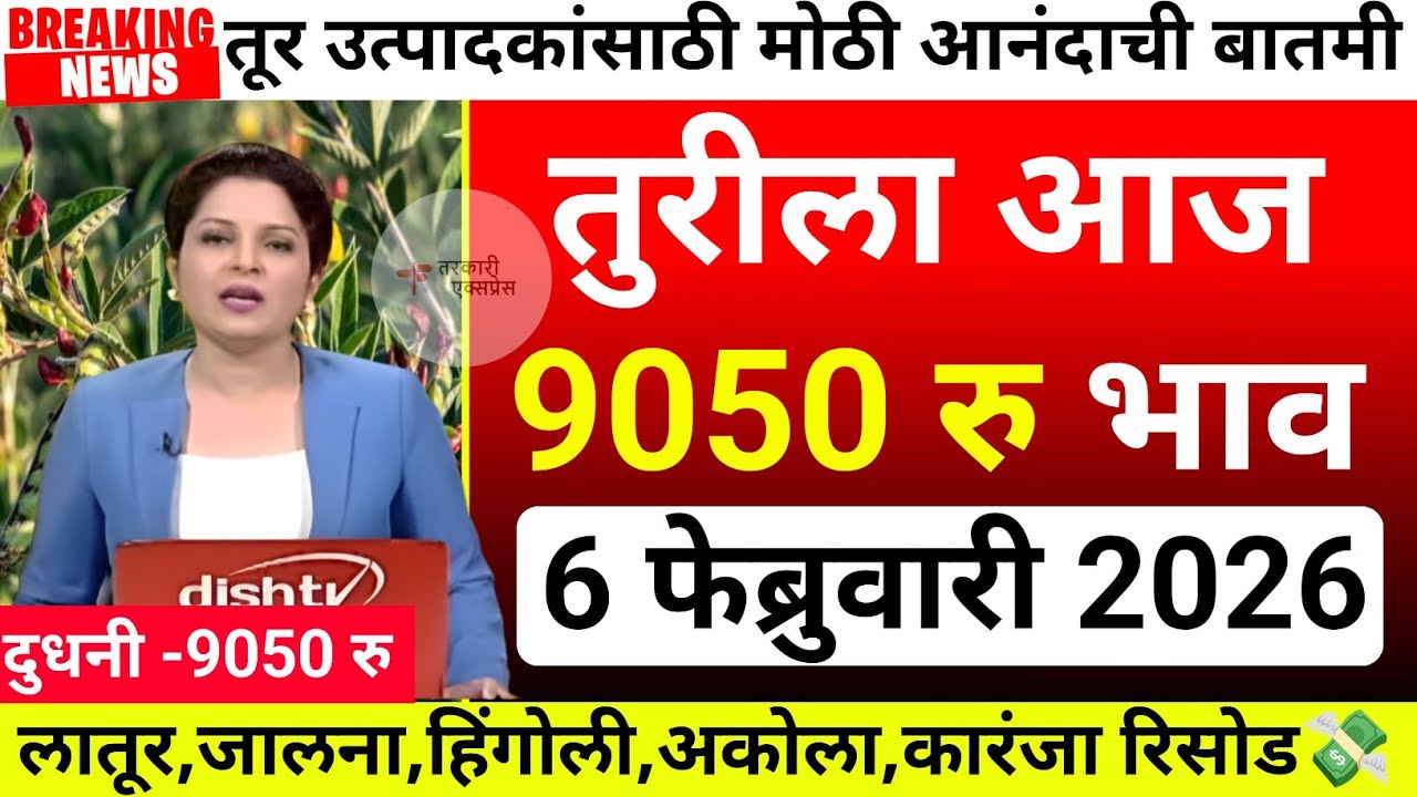 तुरीला आज सर्वाधिक 9050 रु भाव| tur bajar bhav akola|Tur bajar bhav jalana|tur bhav today