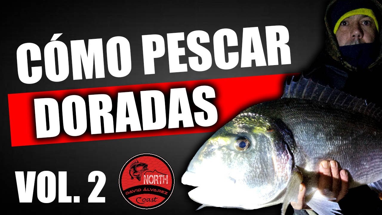 C&Oacute;MO pescar DORADAS desde la PLAYA y r&iacute;a a surfcasting TRUCOS Y MONTAJE
