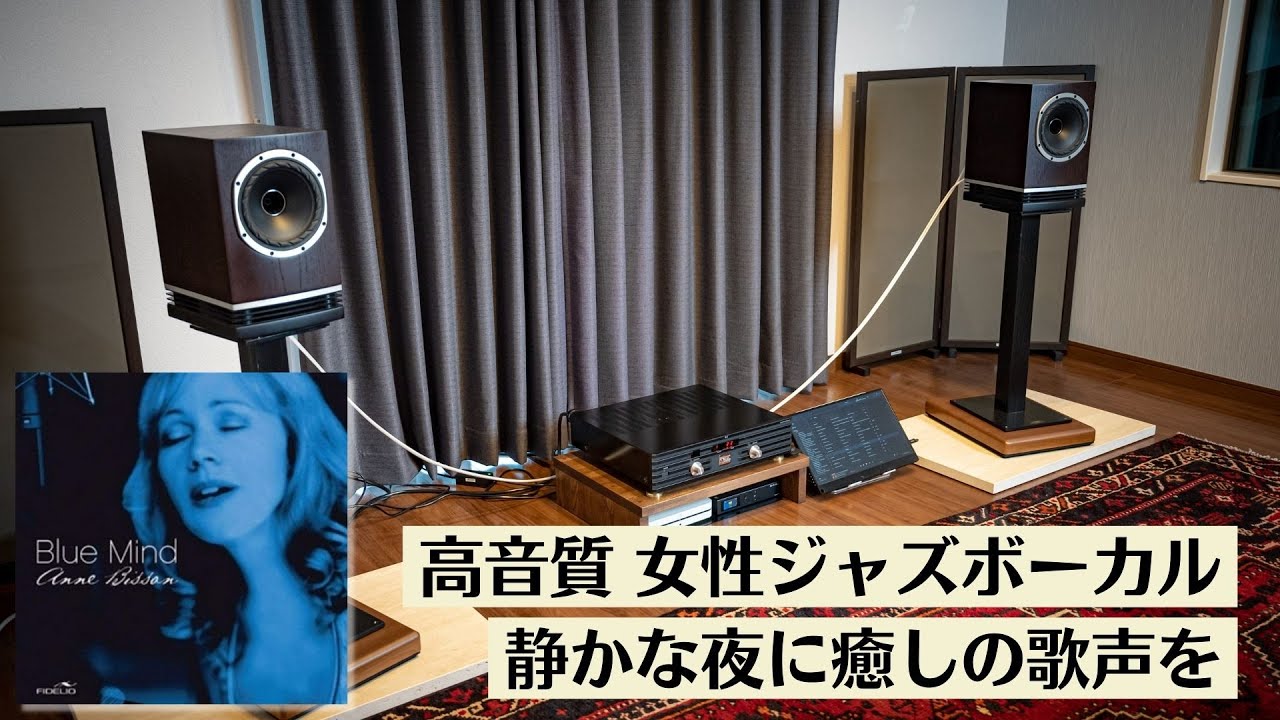 【空気録音】Anne Bisson 