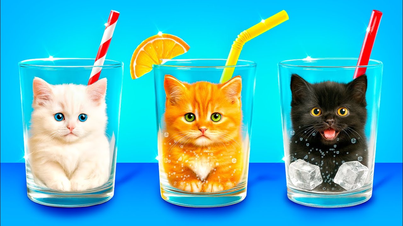 Save This Tiny Cat! Secret Hacks for Pet Owners!