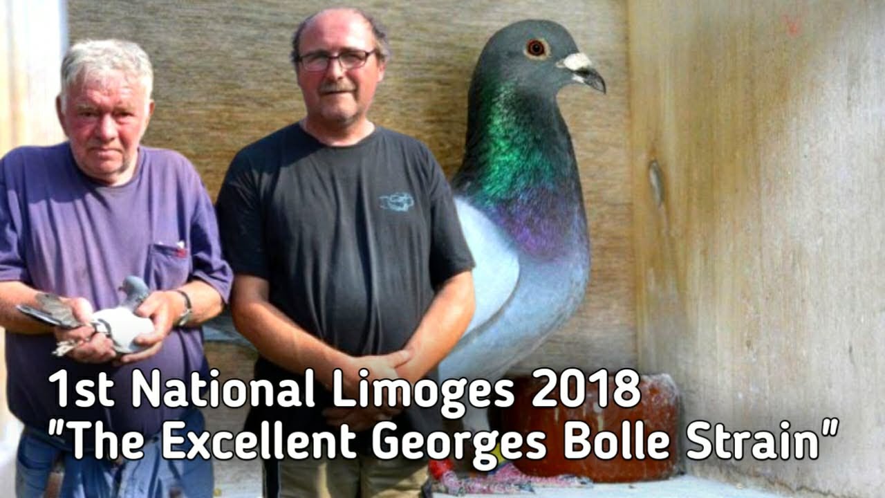 BAERT & SIMEONS: Сорт Georges Bolle в очередной раз доказал свою превосходность.