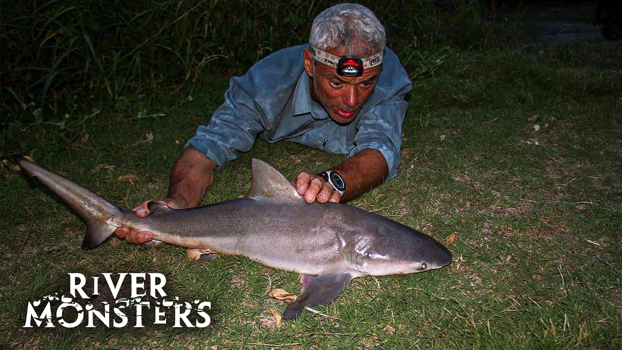 River Monsters Full Episode - Season 1, Episode 6 - Freshwater Shark