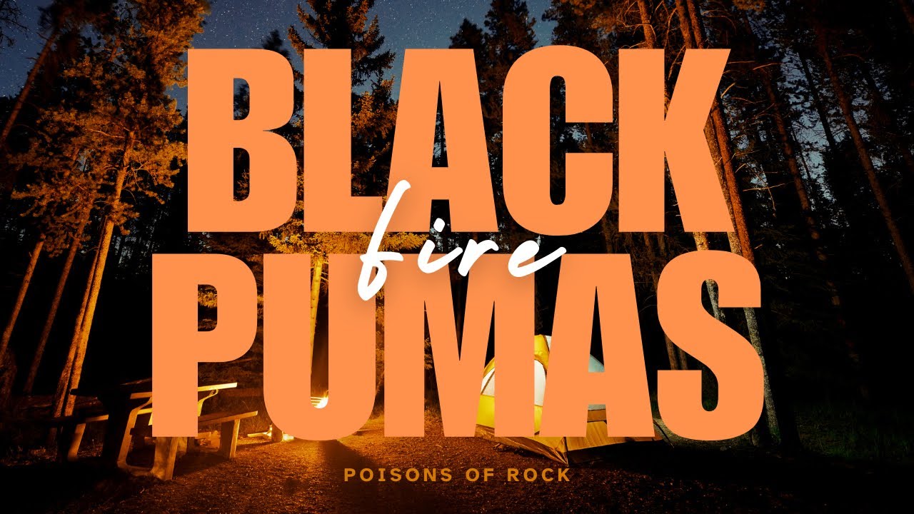 Black Pumas - Fire (2019) Lyrics Video