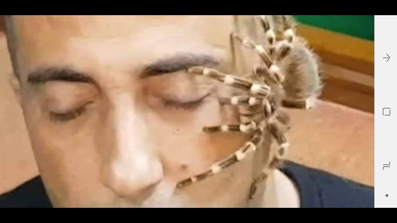 كادت ان تحصل مشكله معي ومع العنكبوت العملاق جمال العمواسي