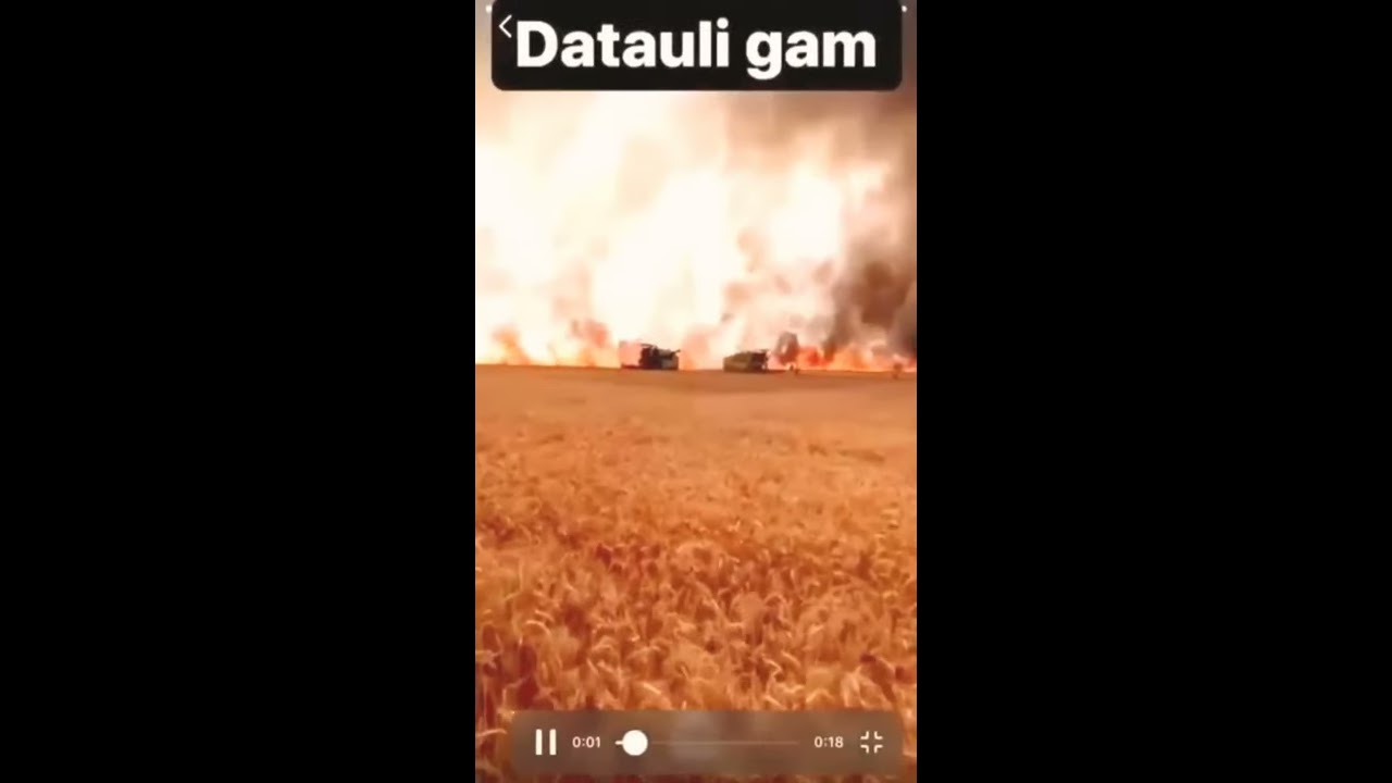 fire in wheat crops 2021😭