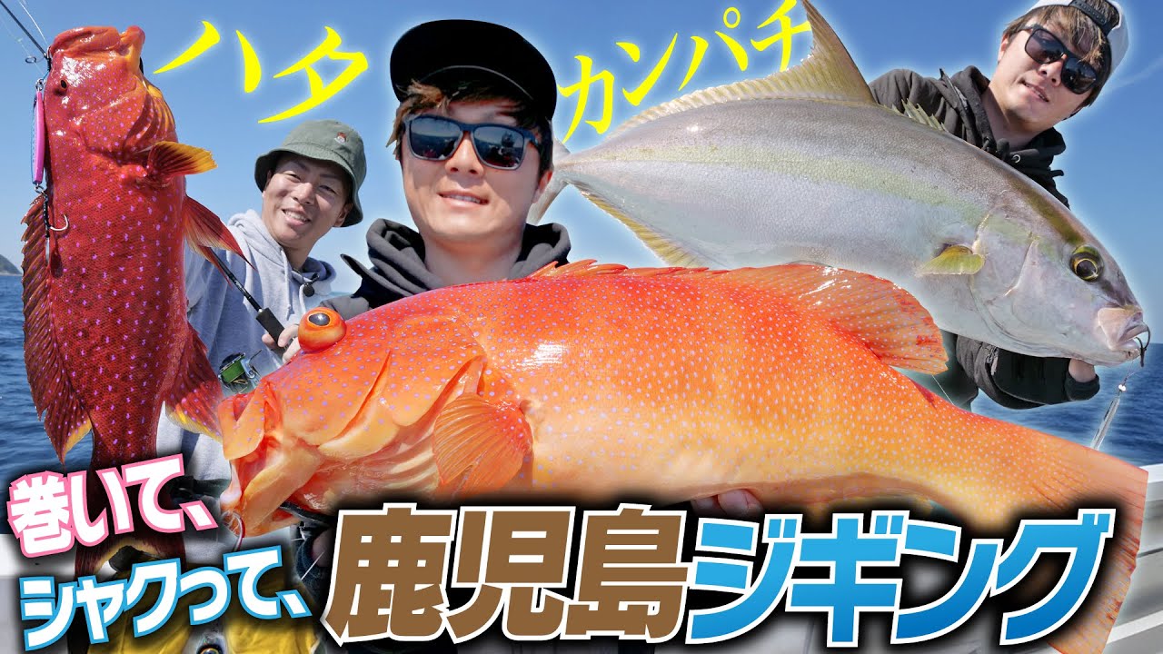 【鹿児島ジギング】巻いてハタ族！シャクってカンパチ！高級魚祭りの鹿児島ジギング【ジャックアイ】
