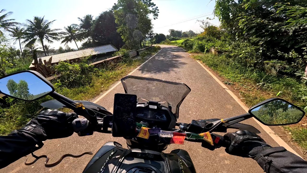 Bajaj Dominar 400 Raw Sound (SNAKE ENCOUNTER)