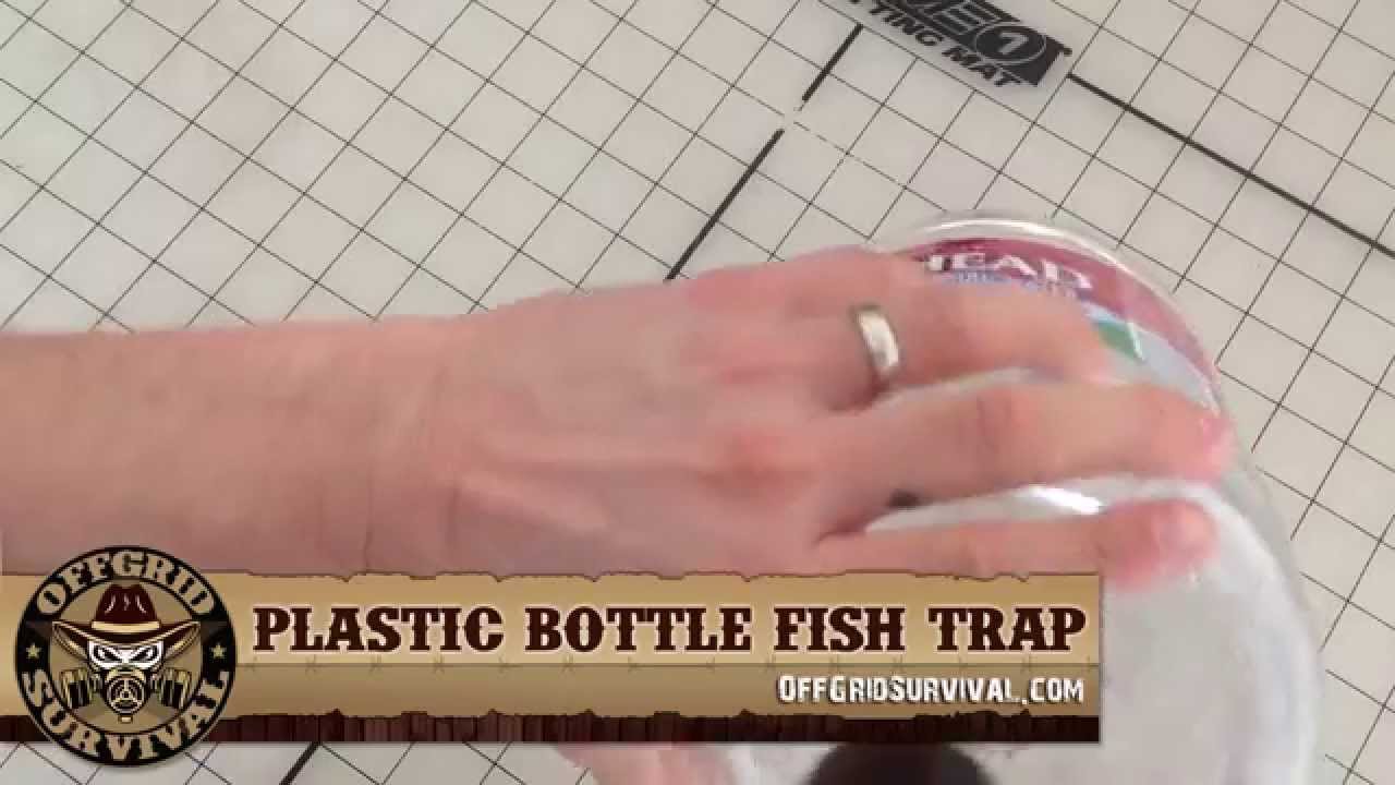 Learn How to Make a Plastic Bottle Fish Trap