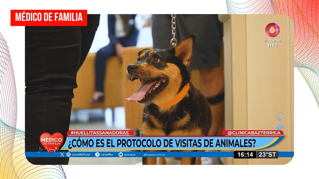 Huellitas Sanadoras - C. Bazterrica | Médico de familia | Dr. Jorge Tartaglione | Animales que sanan