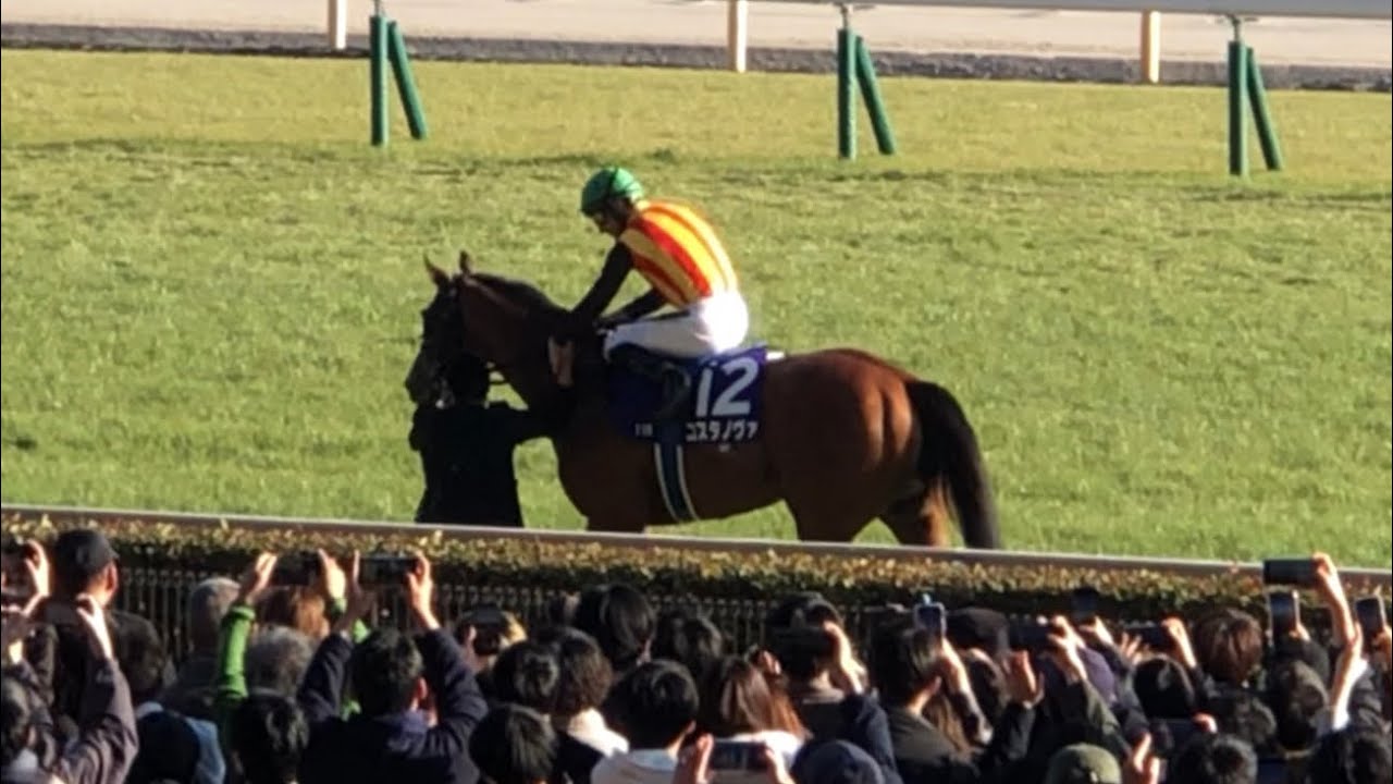 【現地】コスタノヴァ C.ルメール 2026 フェブラリーS 長編 オープニング〜ウイニングラン・払戻確定