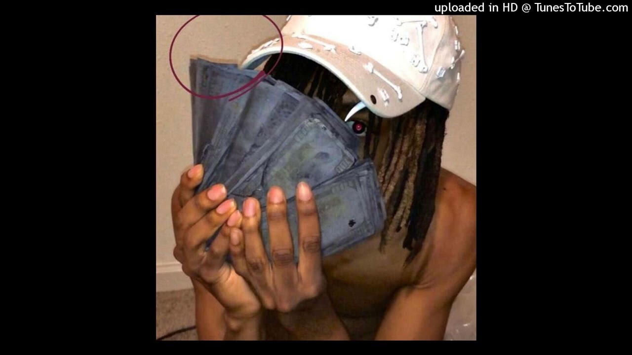 dog food to my style