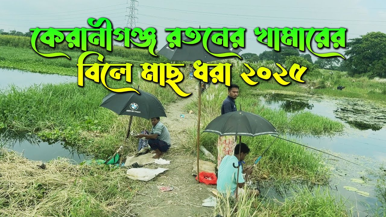 কেরানীগঞ্জ রতনের খামারের বিলে মাছ ধরা ২০২৫