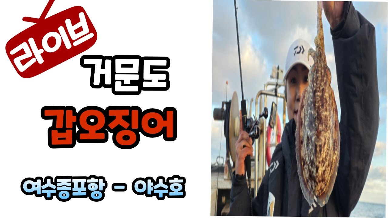 2026첫거문도갑오징어#여수종포항#야수호#안선장악바리에기#NH코리아