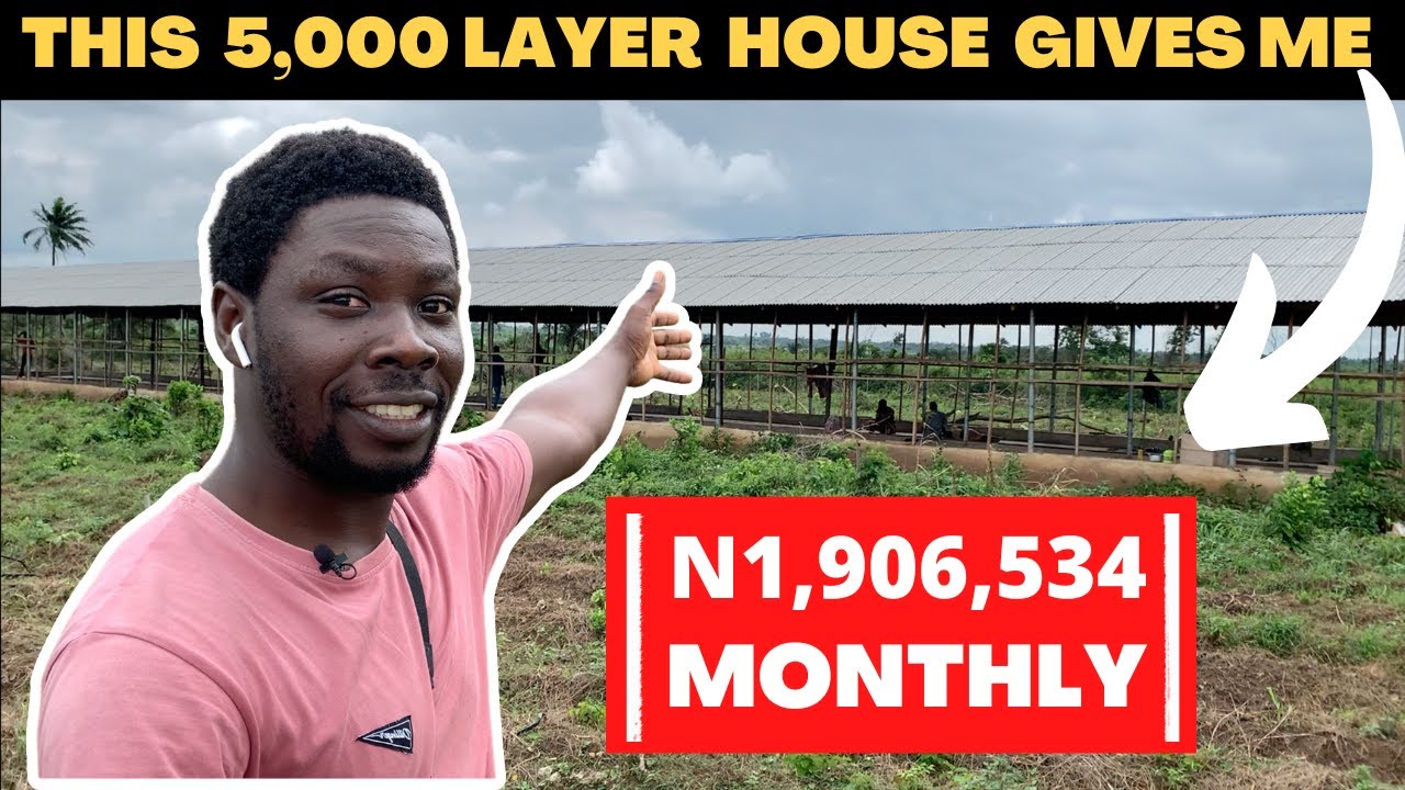 This 5000 Layer Chicken House Gives Me 1.9 Million Naira Monthly