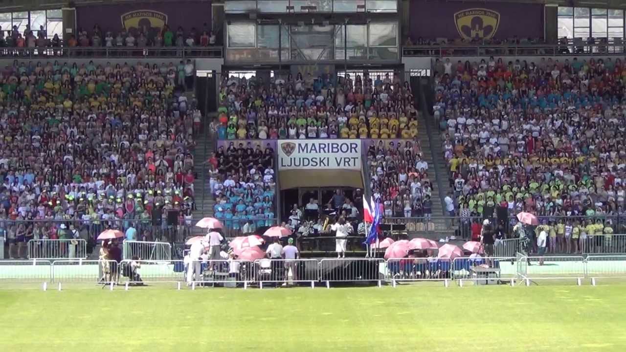 MPZ MLADIKA in ZBOROVSKI BUM 2013 - 