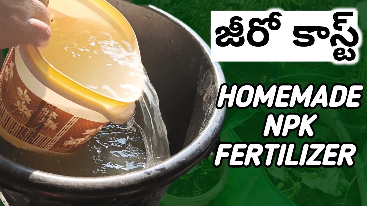 Zero Cost NPK Fertilizer/ వేస్ట్ నుంచి Effective Fertilizer