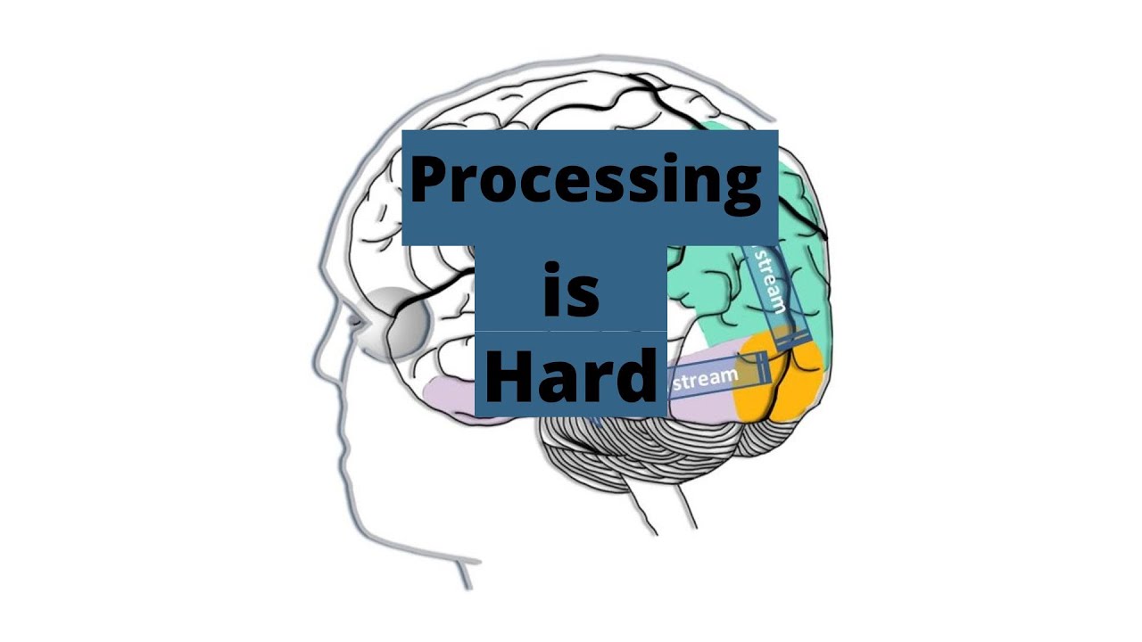 Autism & Processing Information