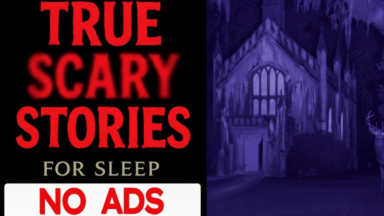NO ADS 🛑 TRUE Scary Stories for Sleep (3 Hours) | Gentle Rain Sounds | Black Screen | Vol 11