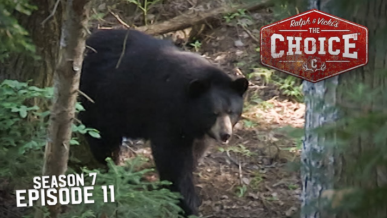 BLACK BEARS IN QUEBEC! - The Choice (Full Episode) // S7: Episode 11