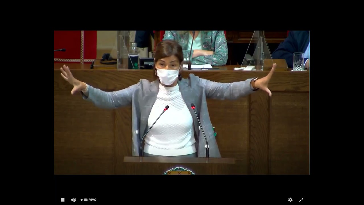 Bego&ntilde;a Gil calidad democr&aacute;tica1