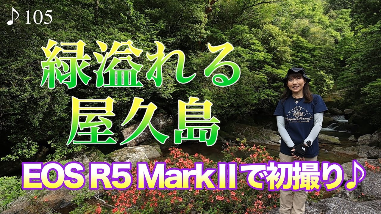 【撮影術】EOSR5 MarkⅡの初撮り♪緑溢れる屋久島ロケ！