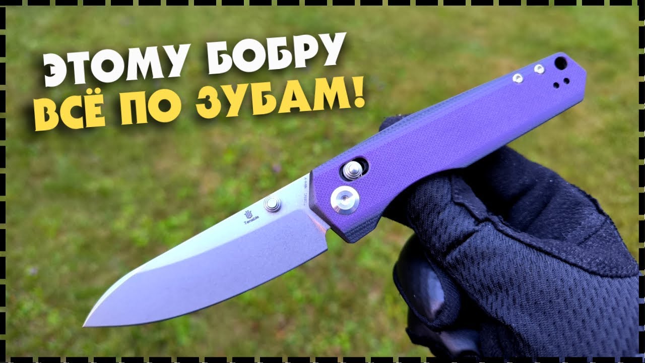 ЛУЧШИЙ СКЛАДНОЙ БЮДЖЕТНЫЙ НОЖ? Tenable Knives Beaver