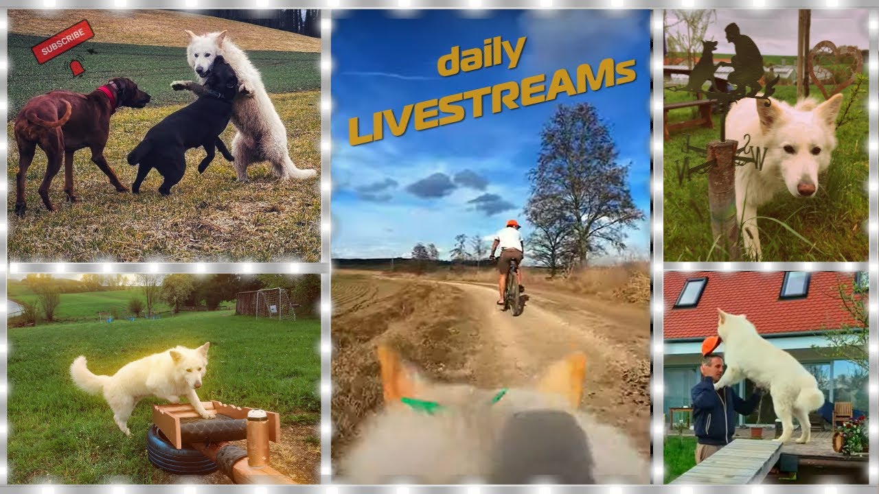 Einfach losradeln… und alles live zeigen! XXL-Stream heute! 🚲🔥