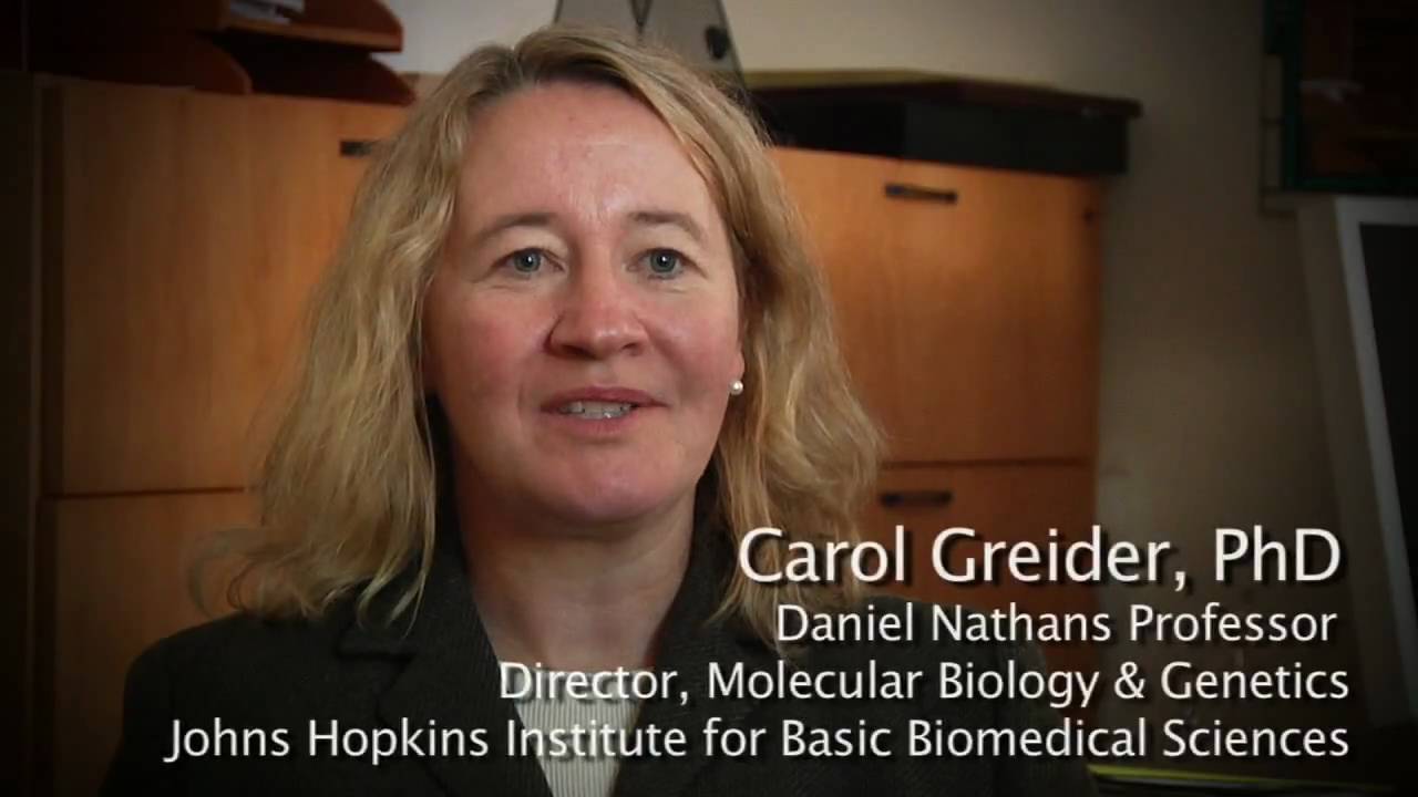 (Extended) Interview with Carol Greider on winning the 2009 Nobel Prize in Physiology or Medicine