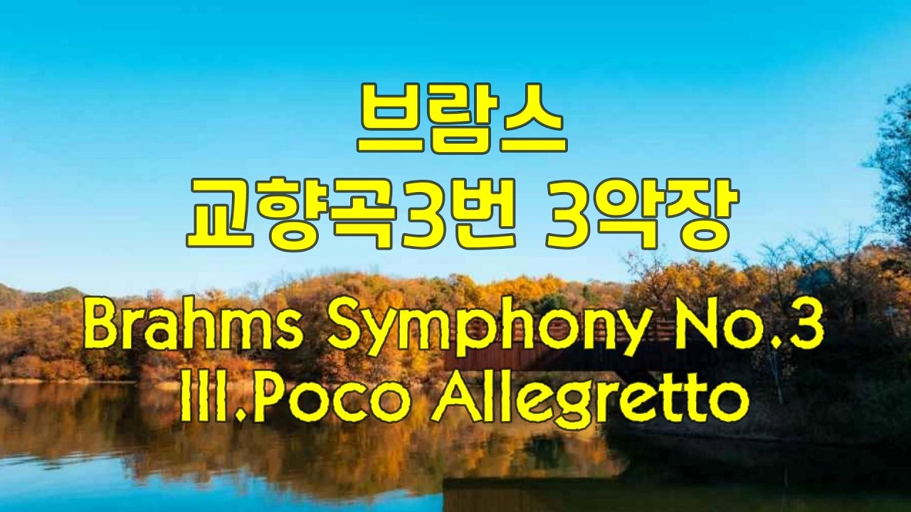 브람스 교향곡3번 3악장 Brahms Symphony No.3 in F major op.90 III.Poco Allegretto #classical #클래식 #classic