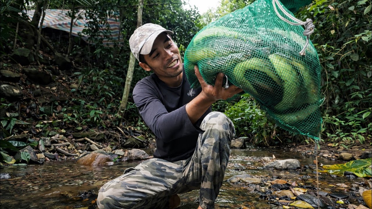 Sông Đồng Nai Cá Chạch Lấu Rất To / Fishing in the wild jungle