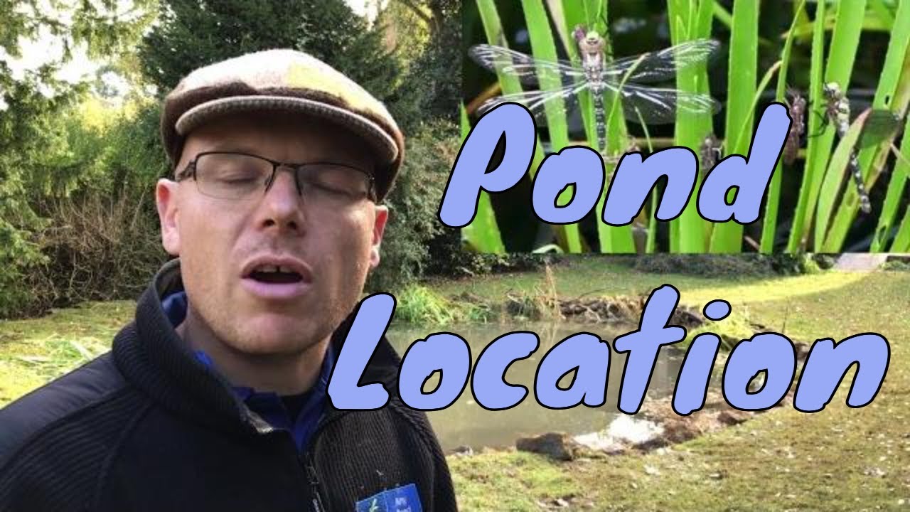Choosing a location for a pond | Pond Location | UK