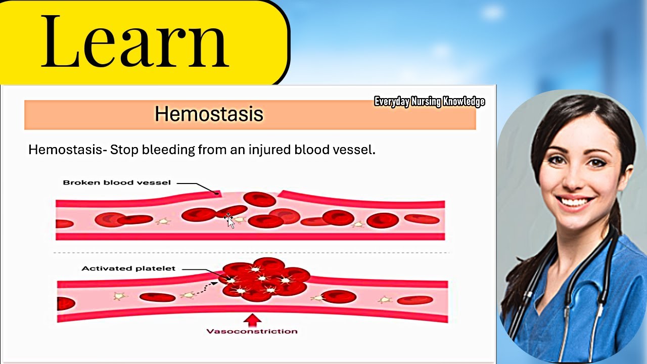 Hemostasis Explained: Primary & Secondary Hemostasis | Coagulation Made Easy