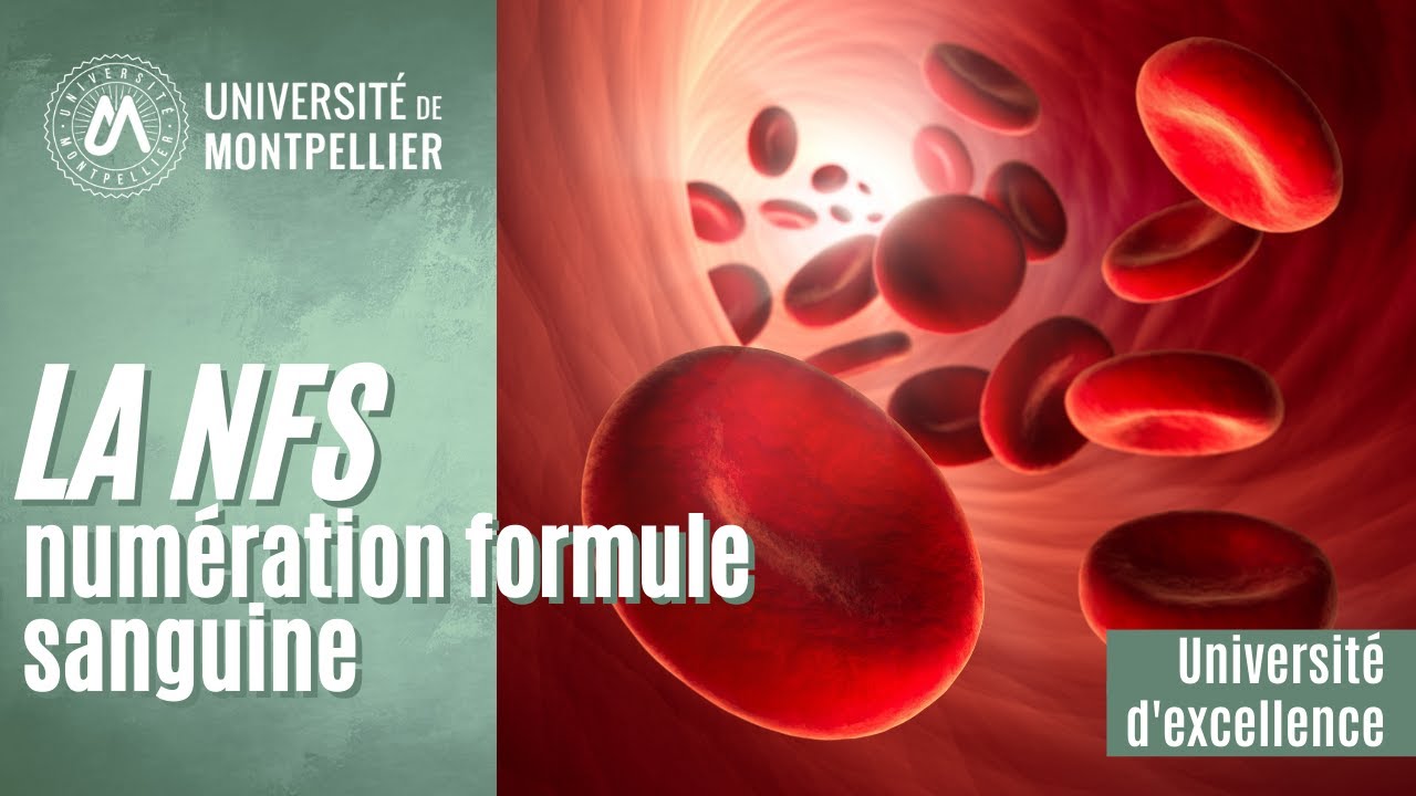 La NFS (numération formule sanguine)