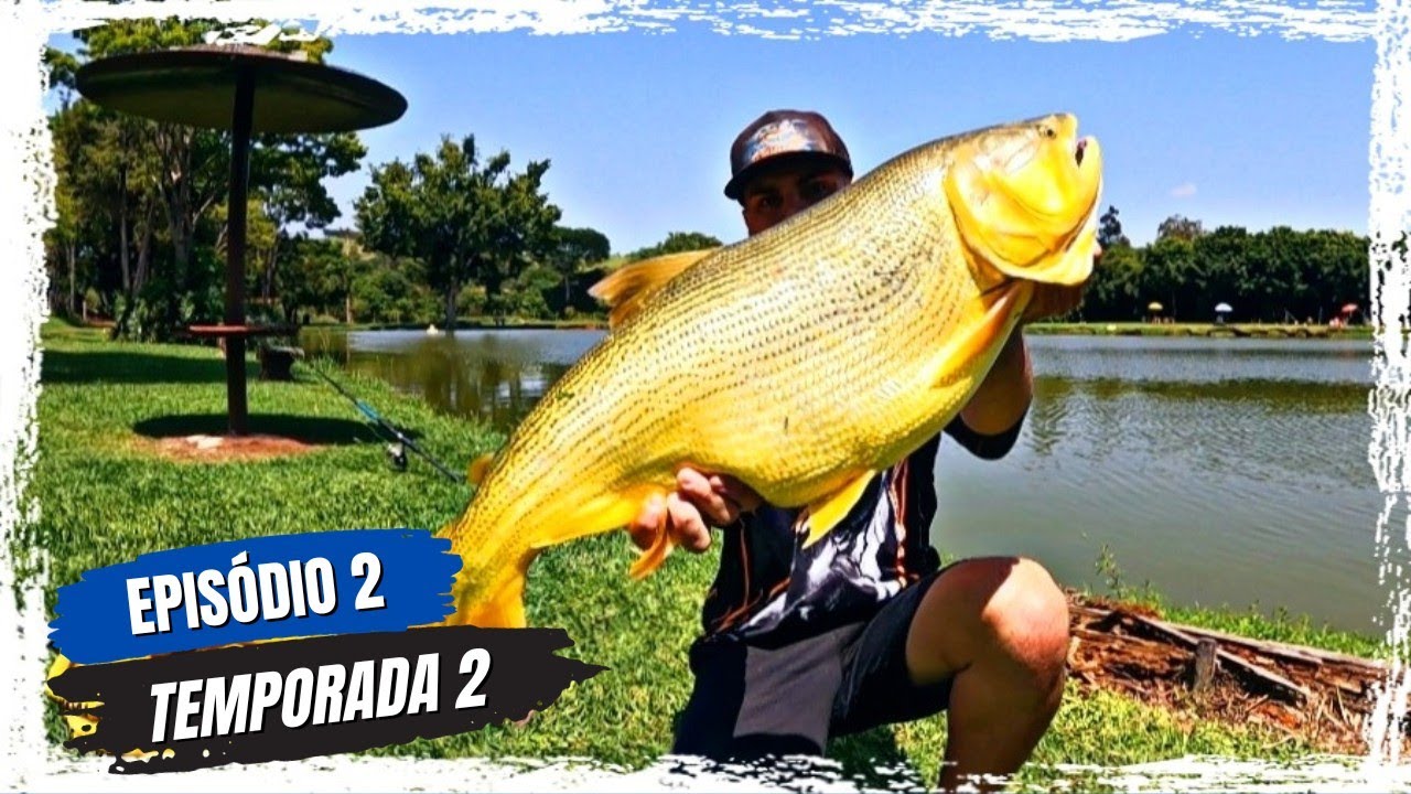 EM BUSCA DE GIGANTES - O GIGANTE DOURADO - Rei do Rio