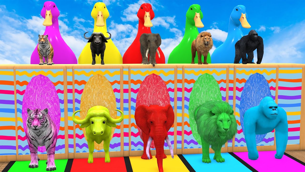 Long Slide Game With Cow Elephant Gorilla Hippopotamus Tiger 3d Animal Game Funny 3d Animals