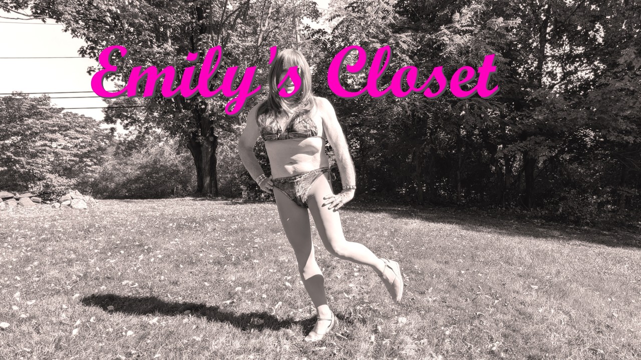 Emily's Closet - Leopard Print Lingerie