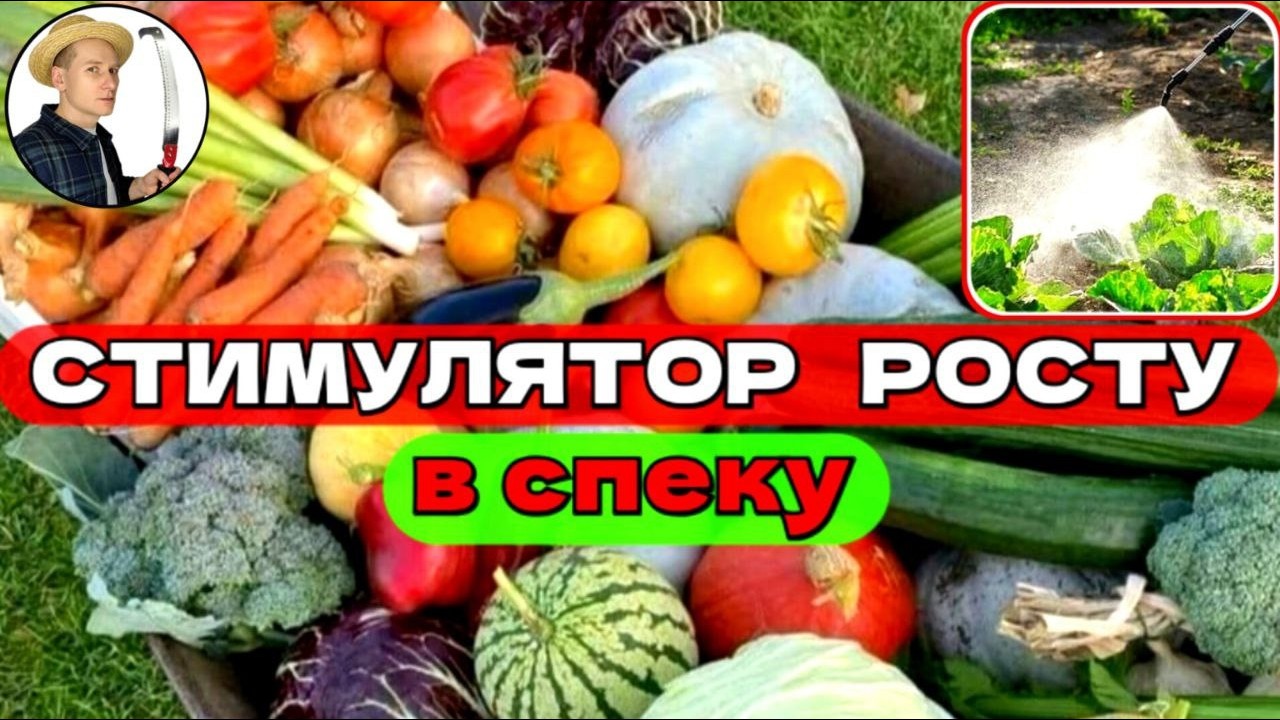 Таємний Метод: спекотна сірка для супер-врожаю та імунітету рослин