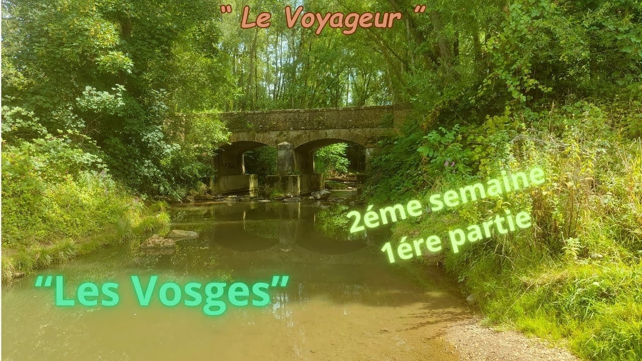 V/44 Seconde semaine dans les Vosges..