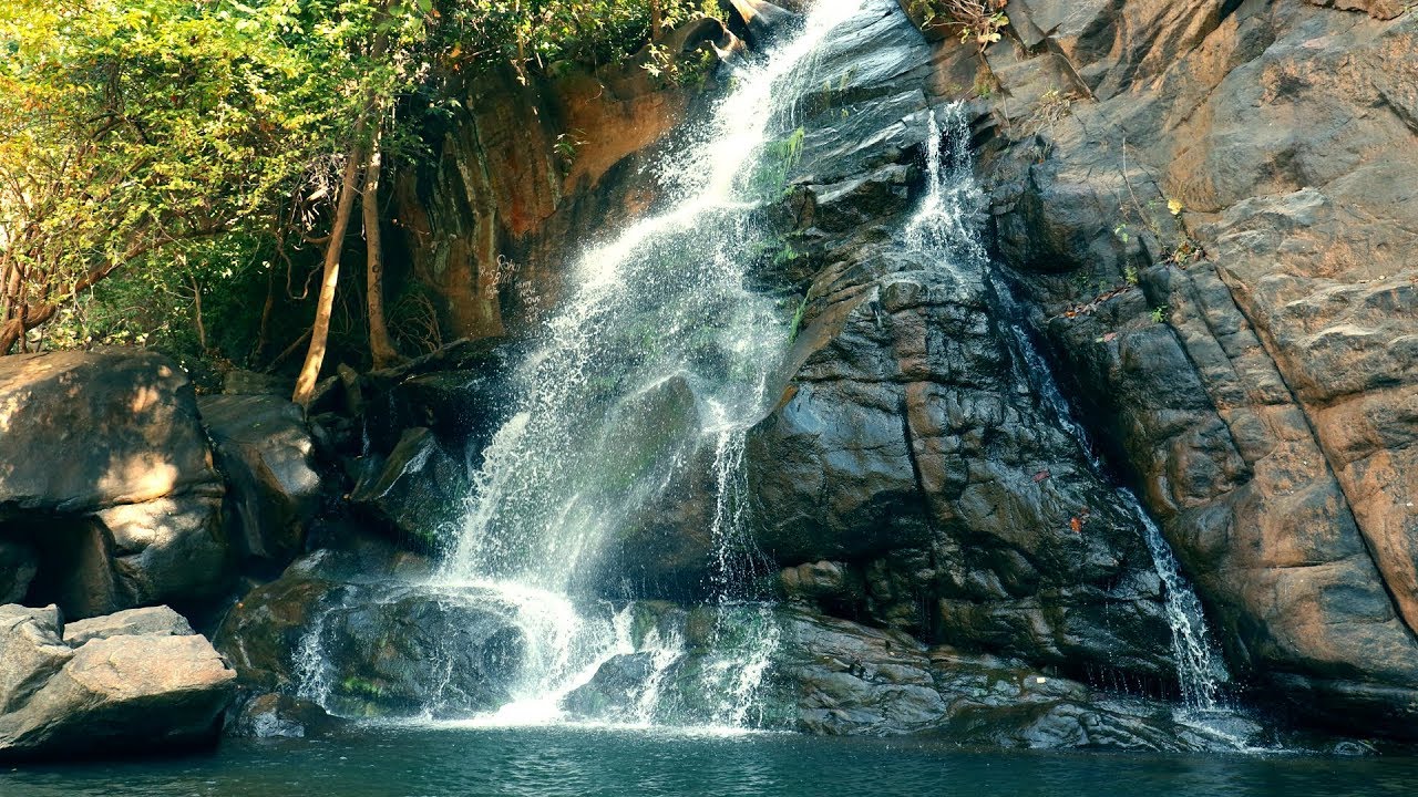 KARLAPAT Wildlife Sanctuary