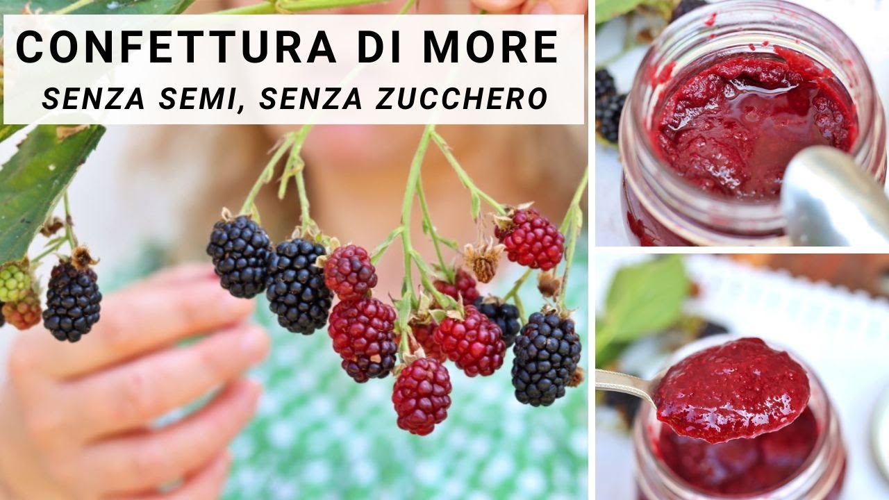 MARMELLATA di MORE SENZA SEMI e SENZA ZUCCHERO | con ERITRITOLO | RICETTE LIGHT