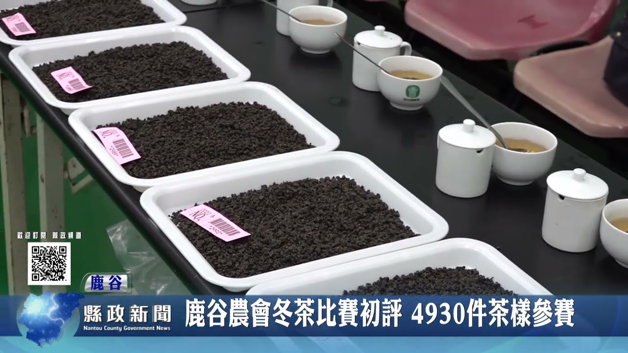 鹿谷農會冬茶比賽初評 4930件茶樣參賽｜南投縣政新聞 2022.12.06