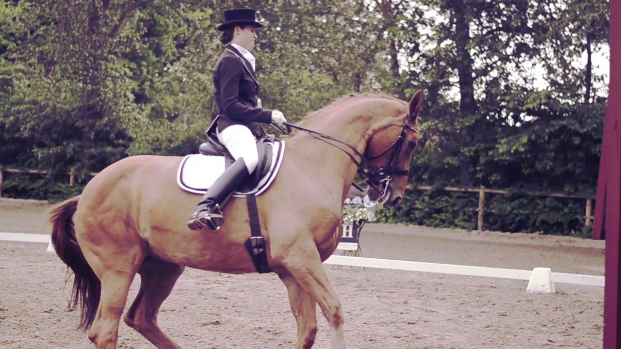 Fyens Rideklub