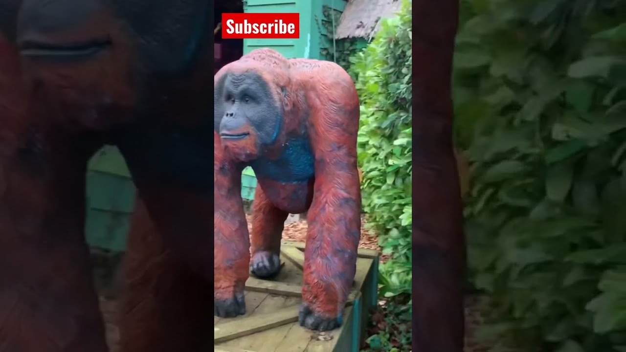 Jungle Rangers Christmas Chessington 