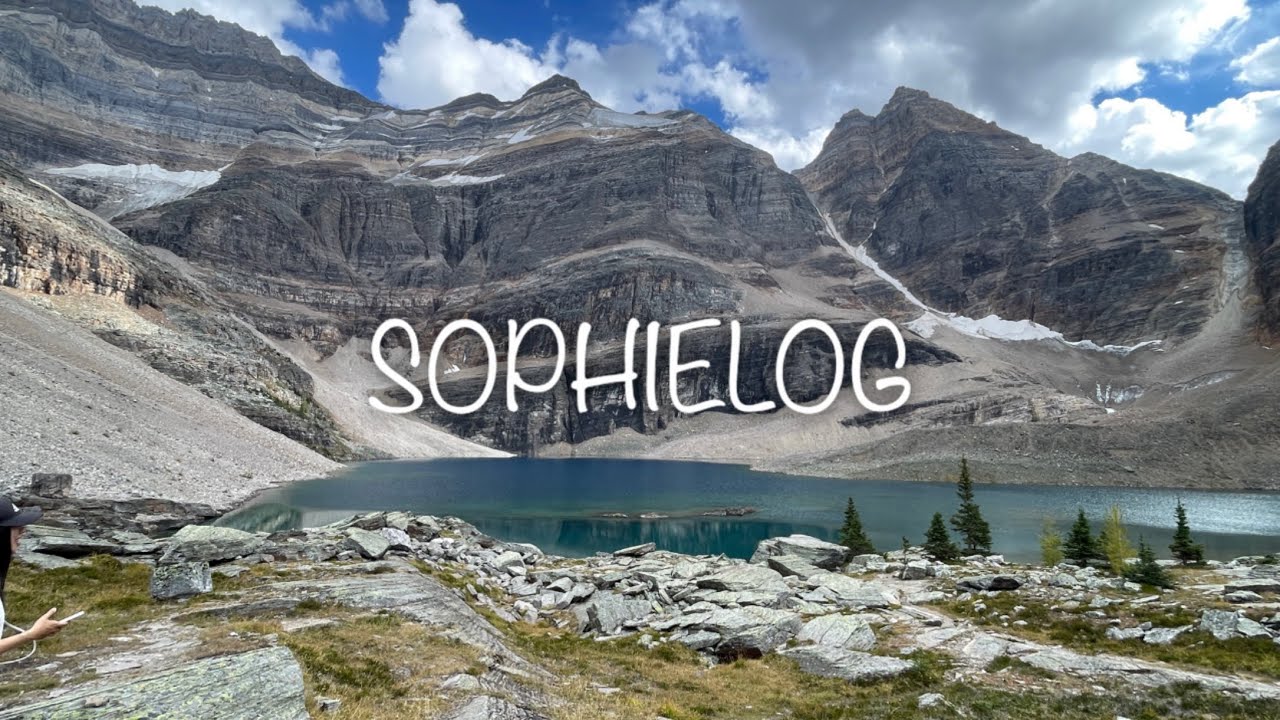 [CA🇨🇦]밴프#40 레이크 오하라 Lake O’hara 트레킹,2025년 최고의 풍경,절반도 못가고 지름길로 내려옴,레이크루이스 커리,식물 옮겨심기