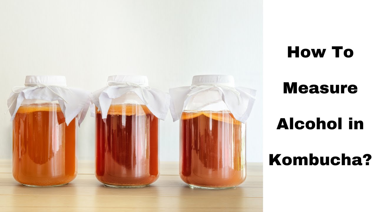 How to Measure Alcohol in Kombucha
