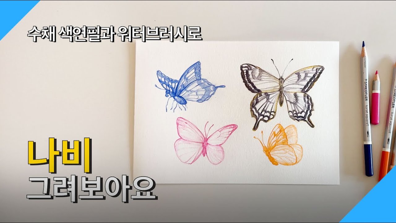 롼쌤 아트 | 수채 색연필과 워터브러시로 나비 일러스트를 그려보아요!