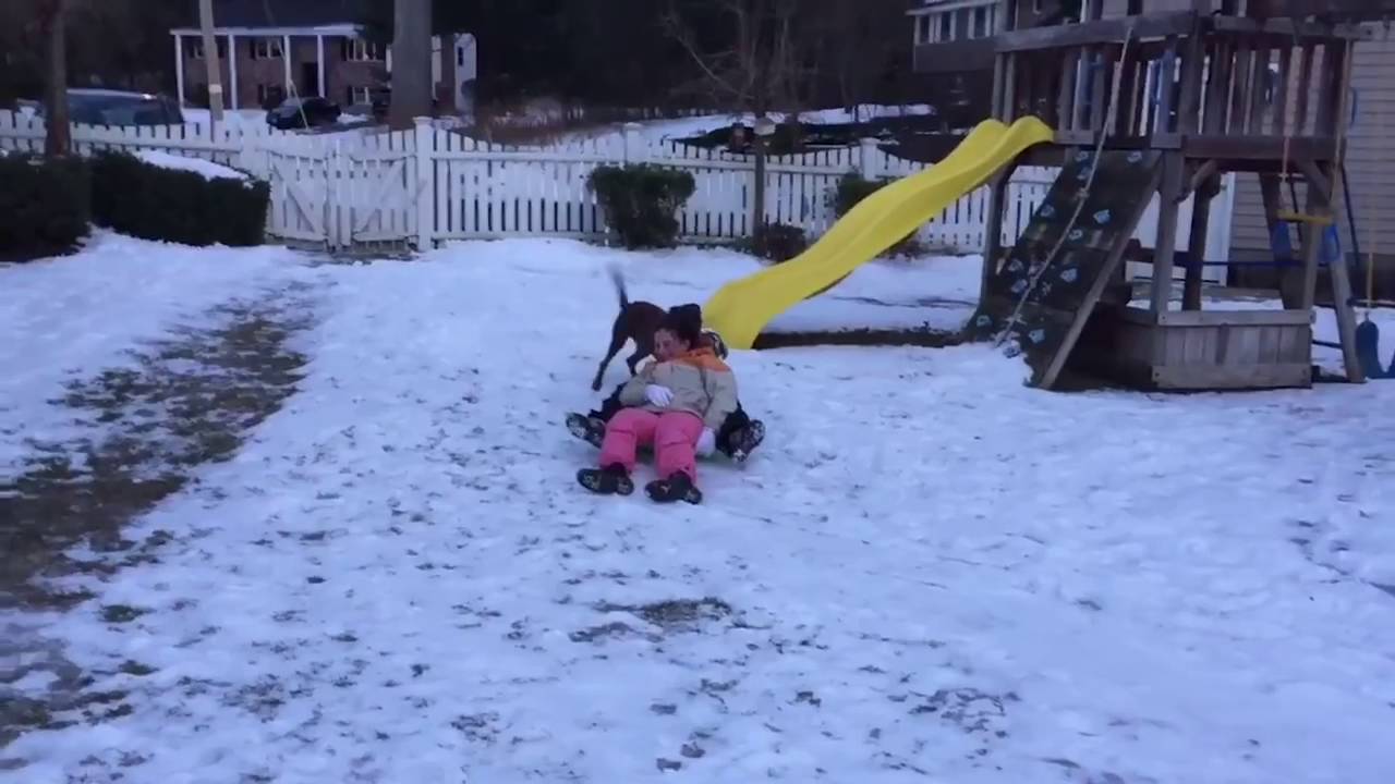 Best Fails of March 2016   Funny Fail Compilation