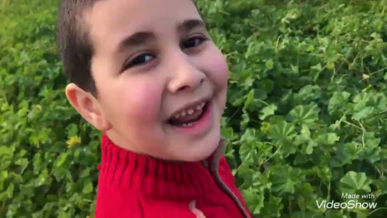 جولة في ارضنا في بزاريا (لقطنا خبيزة وزعتر)