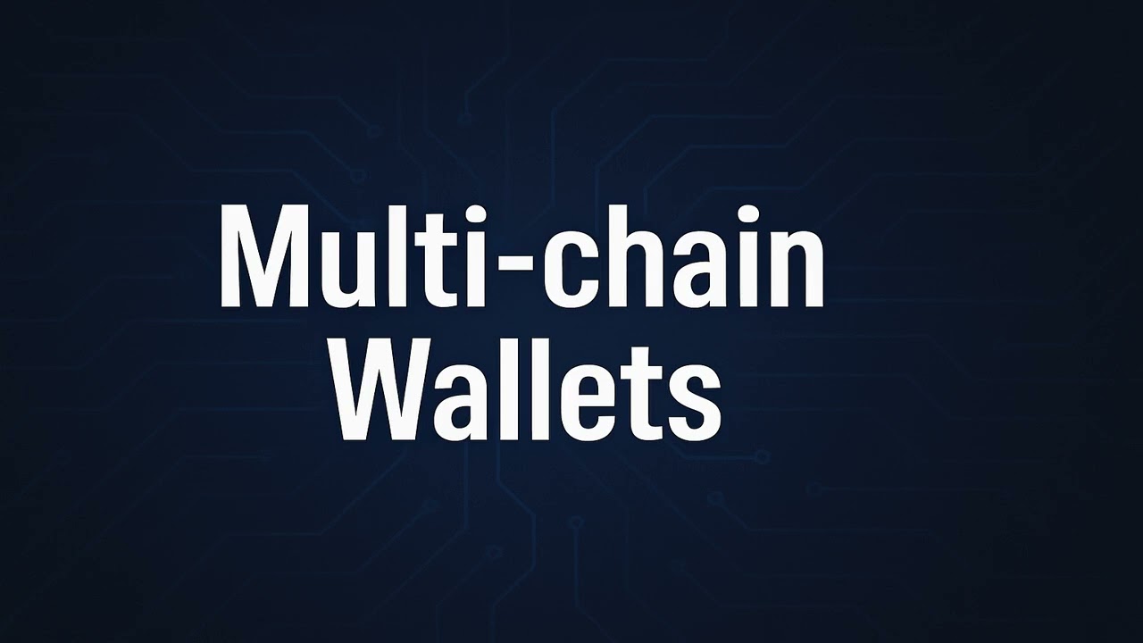 How do Multi-Chain wallets work in Crypto